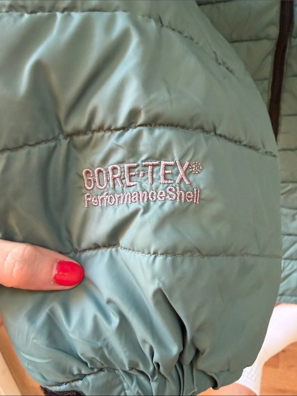 The North Face Summit Series GORE-TEX Performance Shell Hooded Jacket 3XL Green